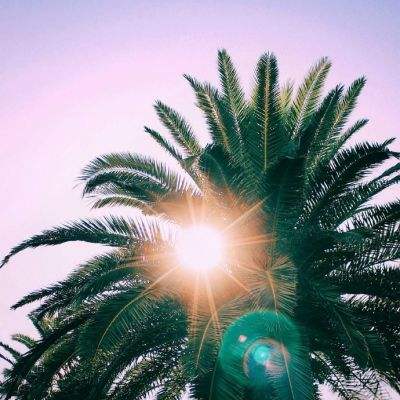 注册就送38的平台app下载