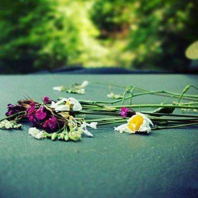 乐鱼平台app下载官网截图