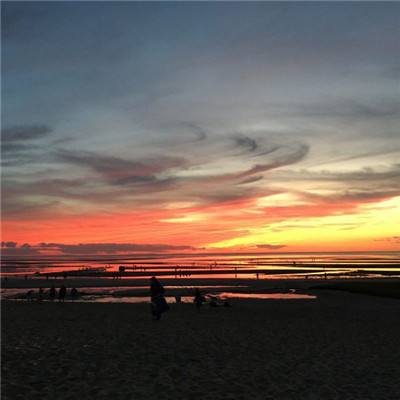 2023年香港资料精准下载手机版