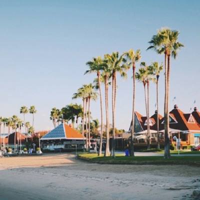 盈彩网手机app下载