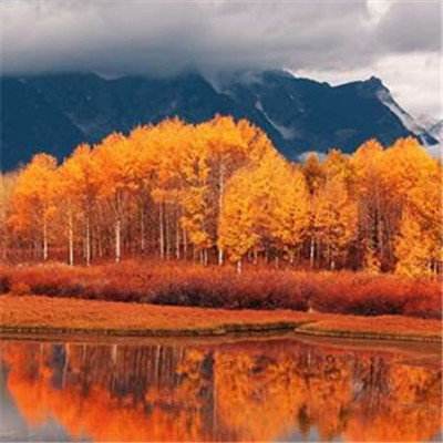 注册就送38的平台app下载