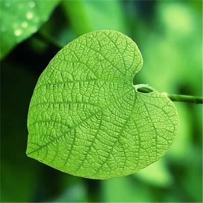 金沙乐娱场app下载下载手机版